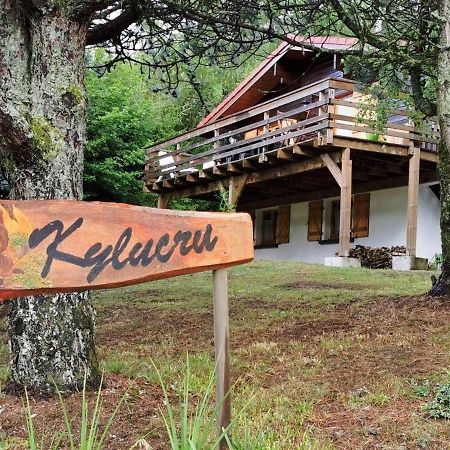 Chalet Kylucru 6 Personnes Classe 2 Etoiles Villa Xonrupt-Longemer Exterior photo